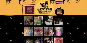 AlbertsonsHairyNScary.com - Albertsons Hairy N Scary Foto Contest