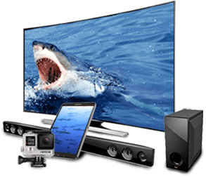 Shark N’ Awe Sweepstakes prize