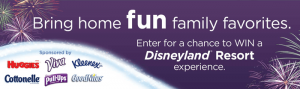 FunFamilyFavoritesSweeps.com - Fun Family Favorites Sweepstakes 2016