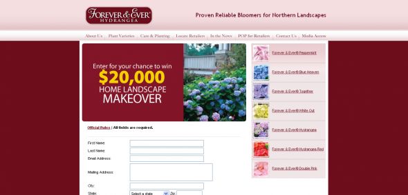 Hydrangea Forever & Ever – $20,000 Backyard Makeover Sweepstakes