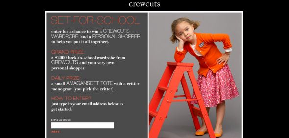 J.Crew Crewcuts Set-For-School