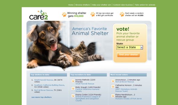 America’s Favorite Animal Shelter Contest
