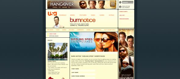Burn Notice Sizzling Spies Sweepstakes