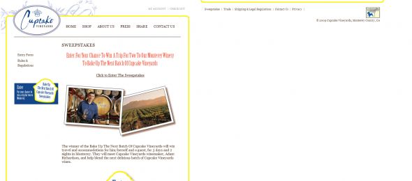Bake Your Own Cupcake Wine Sweepstakes