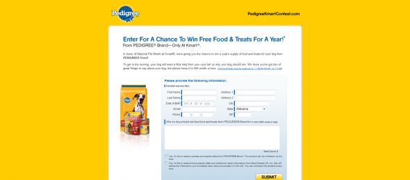 Pedigree Brand Essay Contest