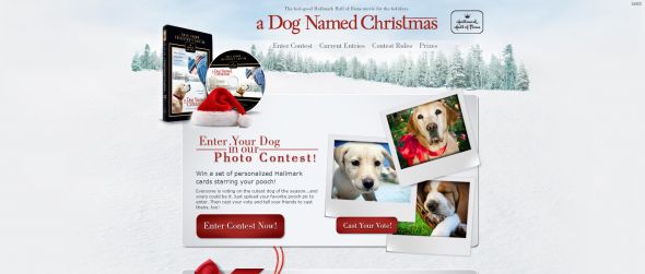 A Dog Named Christmas Photo Contest