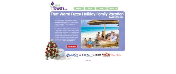 That Warm Fuzzy Holiday Family Vacation Sweepstakes