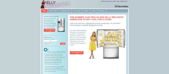 Kelly Confidential Virtual Lemonade Stand Promotion