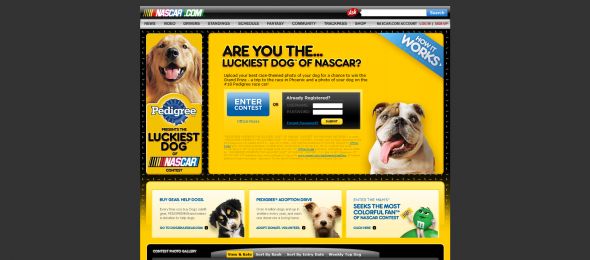 Luckiest Dog of NASCAR Contest