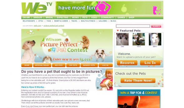 WE tv Picture Perfect Pet 3 Contest