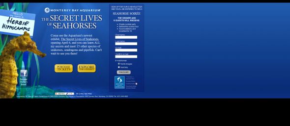 Monterey Bay Aquarium Seahorse Soirée Sweepstakes