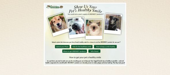 Greenies For A Year Photo Contest