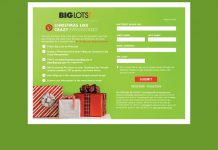 Big Lots Christmas Like Crazy Sweepstakes