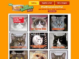 Purina Friskies Tasty Treasures with Accents of Bacon: Win Bacon For A Year Sweepstakes