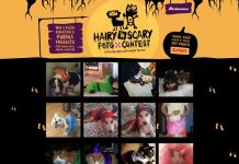AlbertsonsHairyNScary.com - Albertsons Hairy N Scary Foto Contest