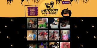 AlbertsonsHairyNScary.com - Albertsons Hairy N Scary Foto Contest