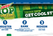 FoodLionDewShop.com - Food Lion Brings You The Dew Shop 2016 Sweepstakes