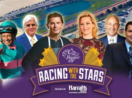 Breeders' Cup World-Class Racing Experience Sweepstakes
