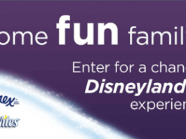 FunFamilyFavoritesSweeps.com - Fun Family Favorites Sweepstakes 2016