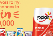 Yoplait.com/100Ways For A Chance To Win $100,000