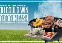 Food Lion Summer Sizzle Instant Win Game 2017 (FoodLion.com/SummerSizzle)