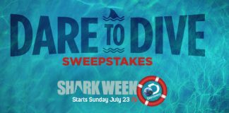 Dare To Dive Sweepstakes Dare To Dive Sweepstakes