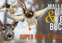 Super Hunt Giveaway 2017