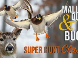 Super Hunt Giveaway 2017
