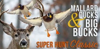 Super Hunt Giveaway 2017