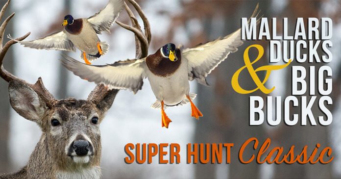 Super Hunt Giveaway 2017