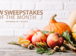 New Online Sweepstakes (November 2017)