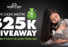 Win Cash Meow Giveaway