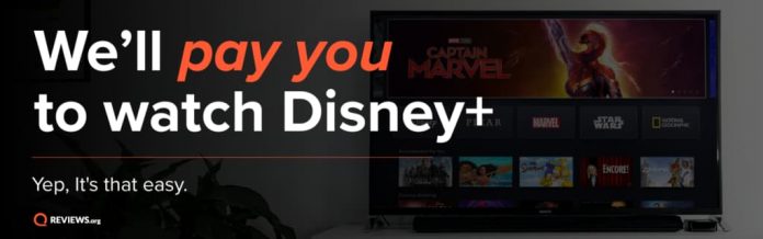 Disney Plus Dream Job Contest 2020