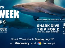 Discovery Shark Week Sweepstakes 2021