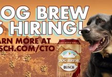 Anheuser Busch Beer Dog Brew Contest 2021