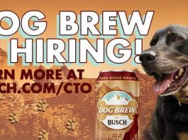 Anheuser Busch Beer Dog Brew Contest 2021
