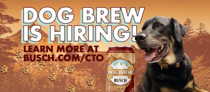 Anheuser Busch Beer Dog Brew Contest 2021