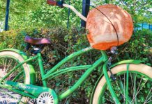 Panera Bread Bike Bowl Giveaway 2021