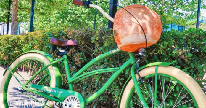 Panera Bread Bike Bowl Giveaway 2021