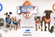 Puppy Bowl Sweepstakes 2023 From Arm And Hammer