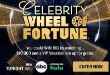 Wheel Of Fortune Celebrity 2024